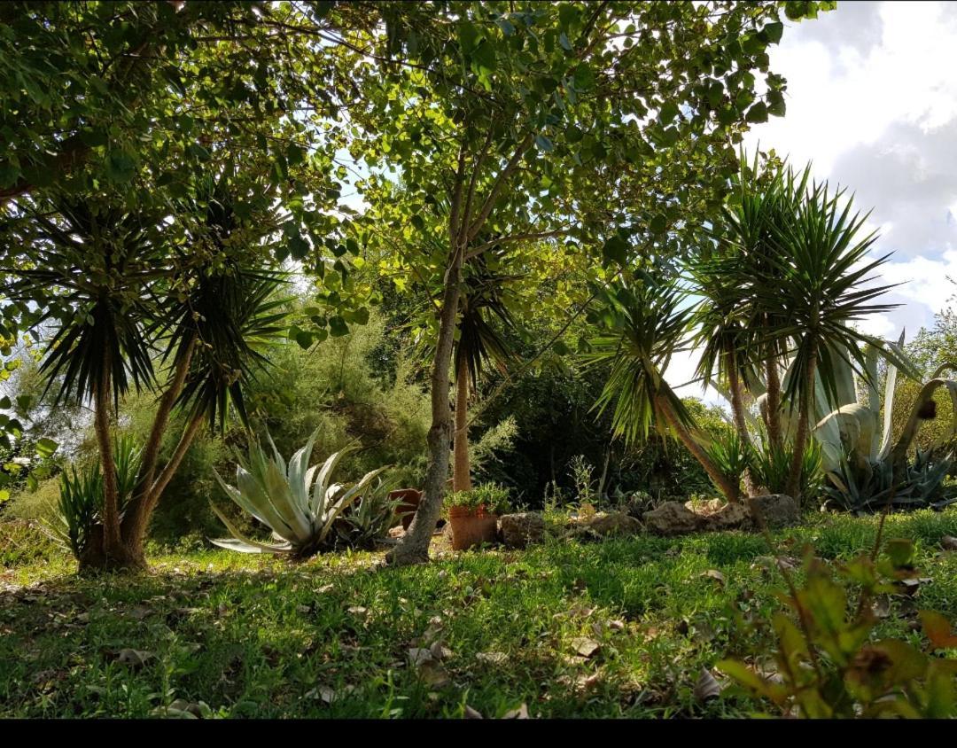 فيلا Salento Lapezzaaculuri Guagnano المظهر الخارجي الصورة